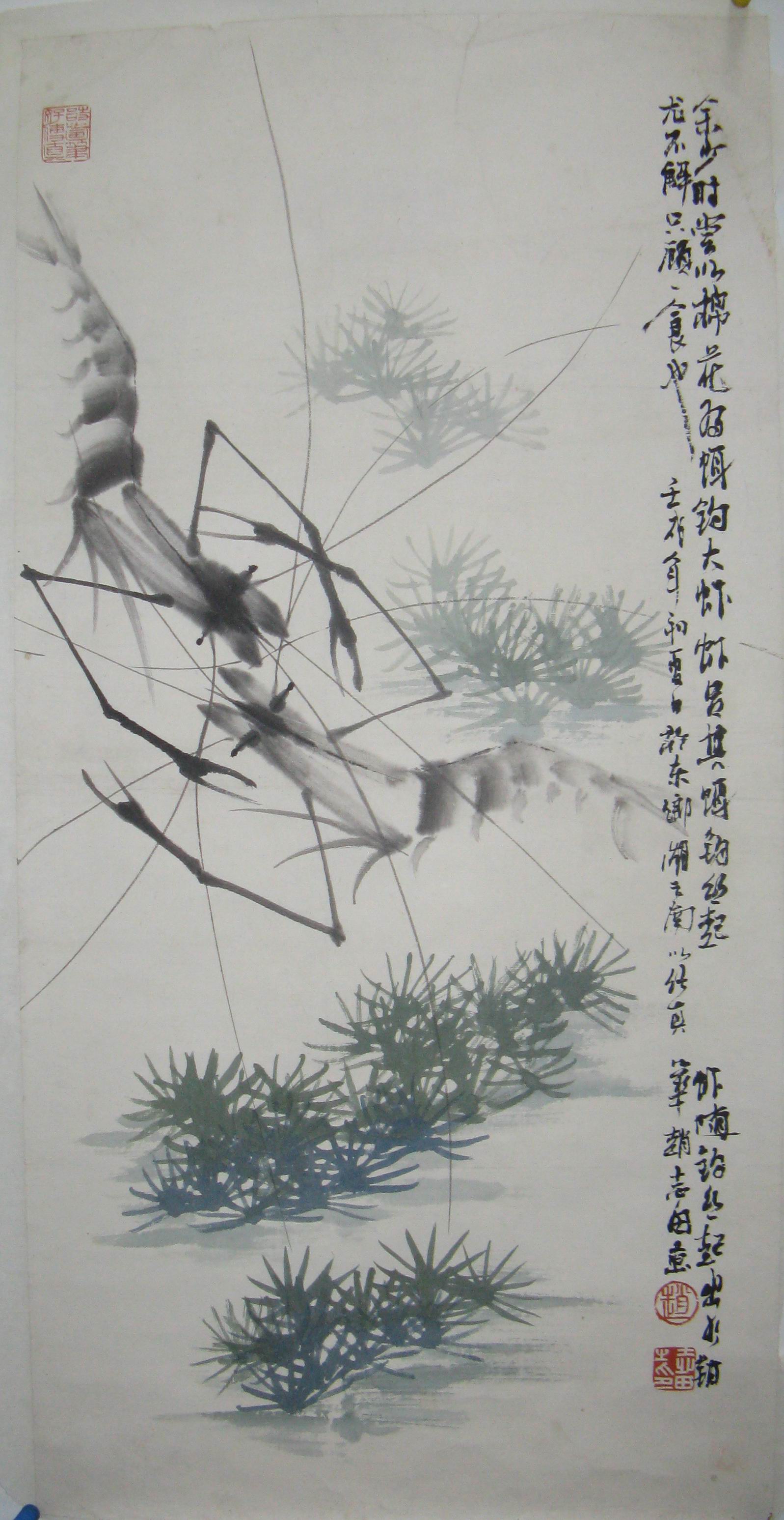 点击查看大图 赵志田 虾趣