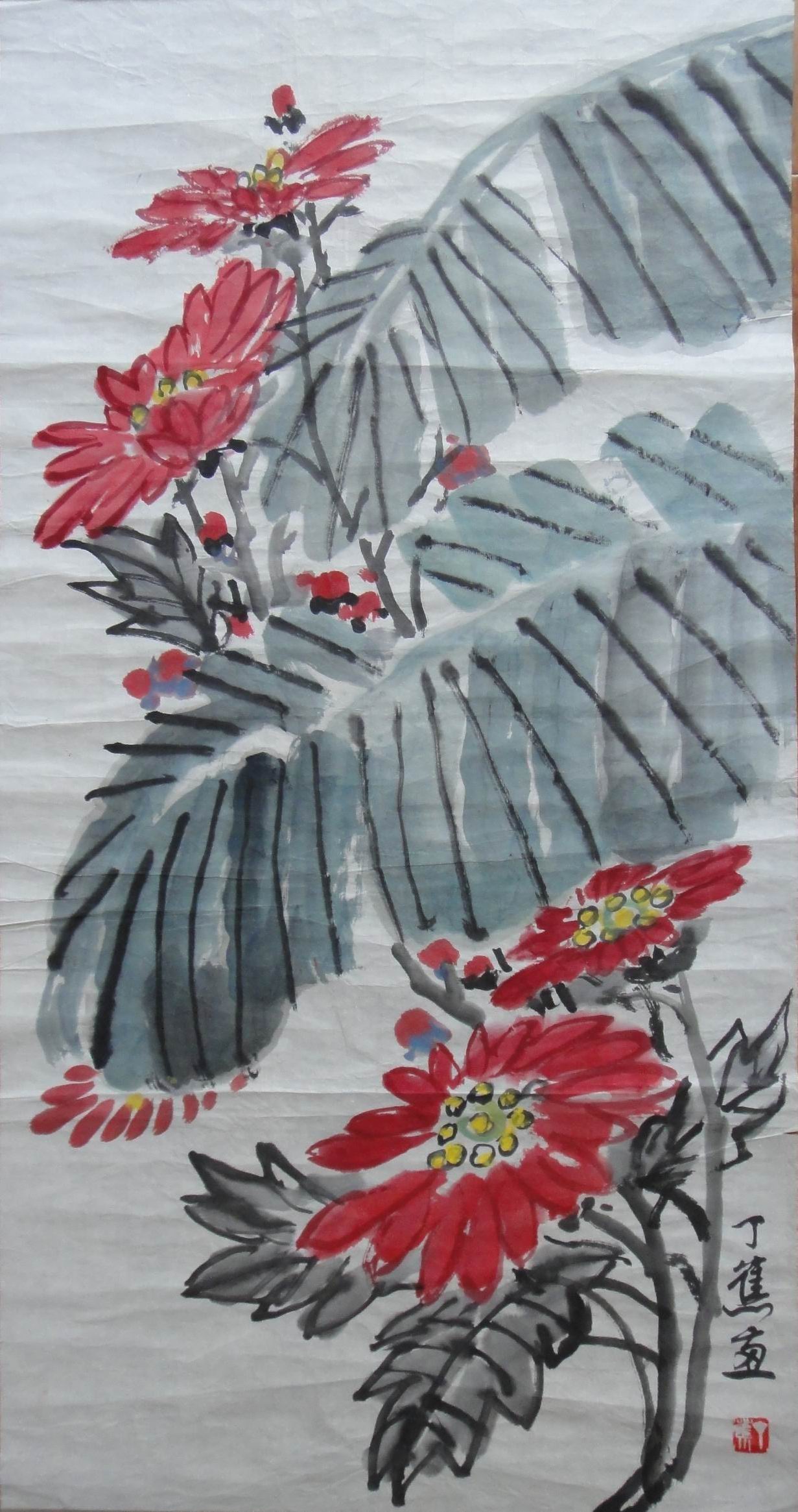 点击查看大图 丁蕉 花卉