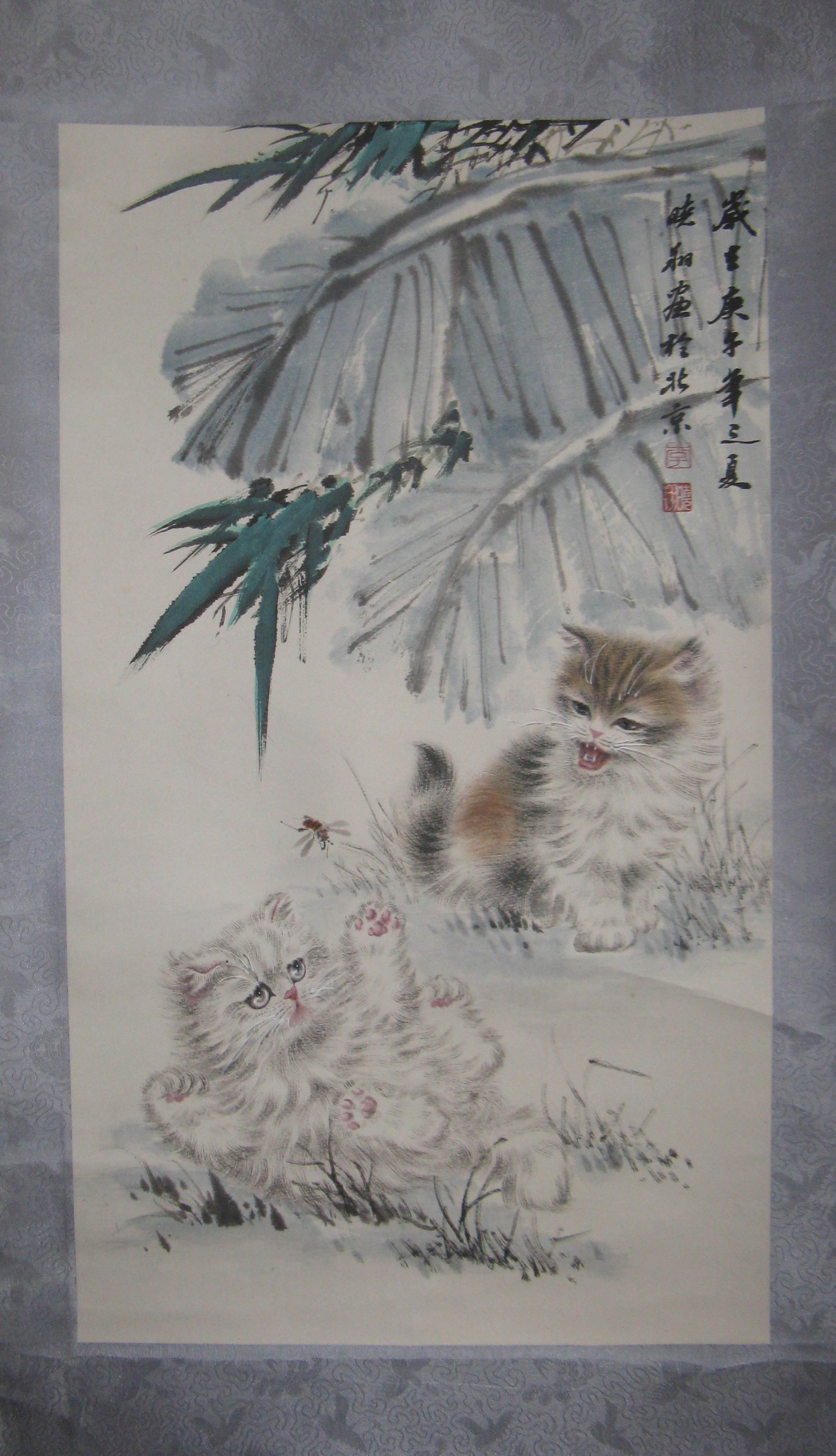 点击查看大图 李晓祥 猫咪