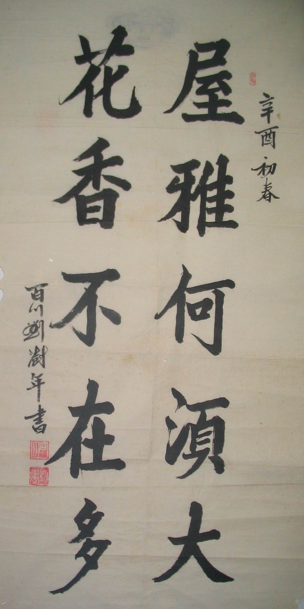   鷨