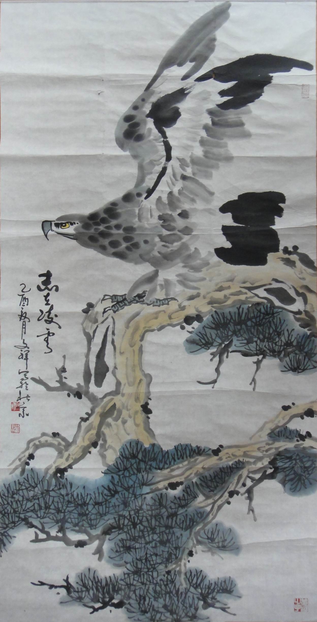 点击查看大图 孙文祥 松鹰