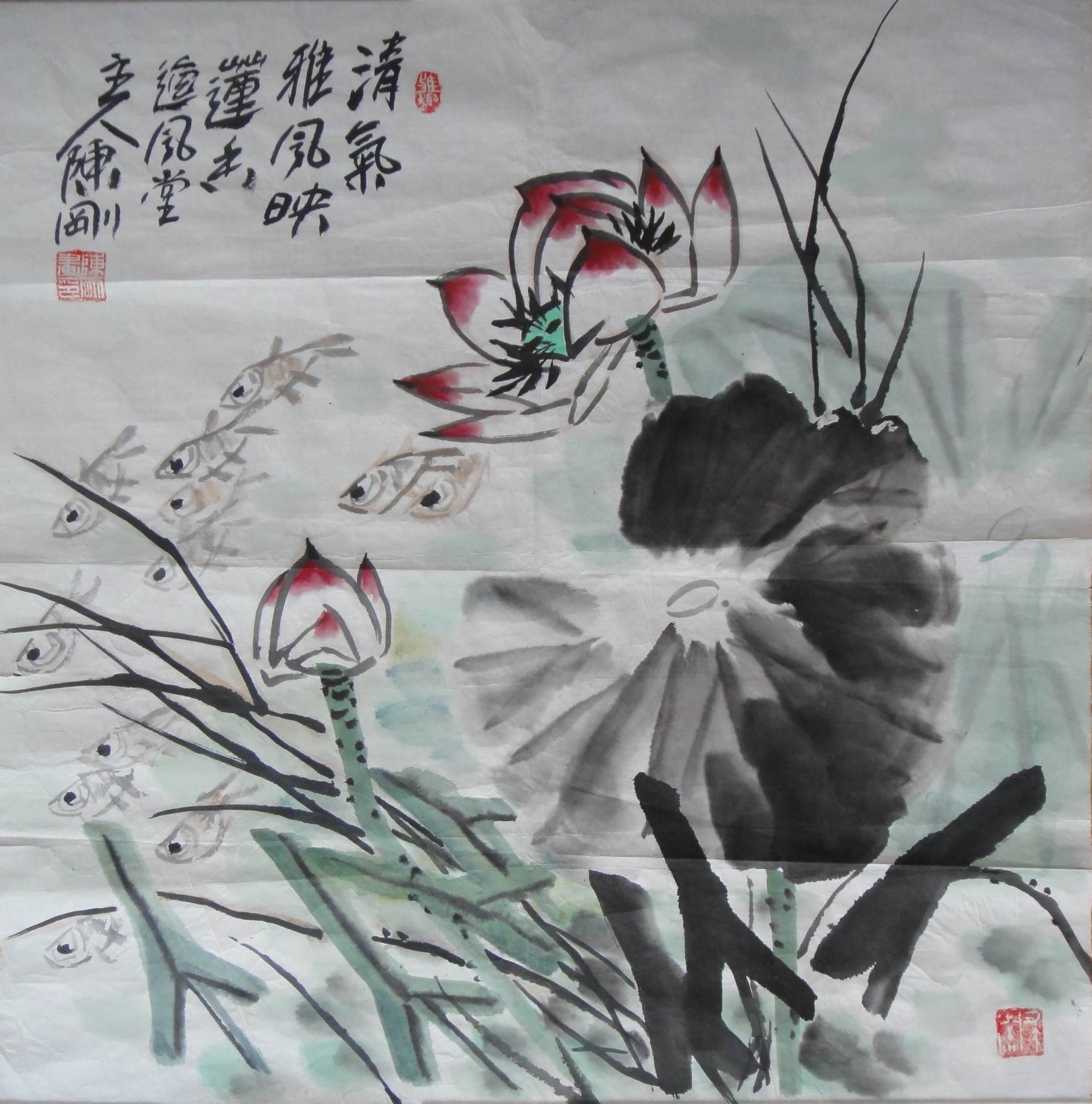 点击查看大图 陈刚 荷花