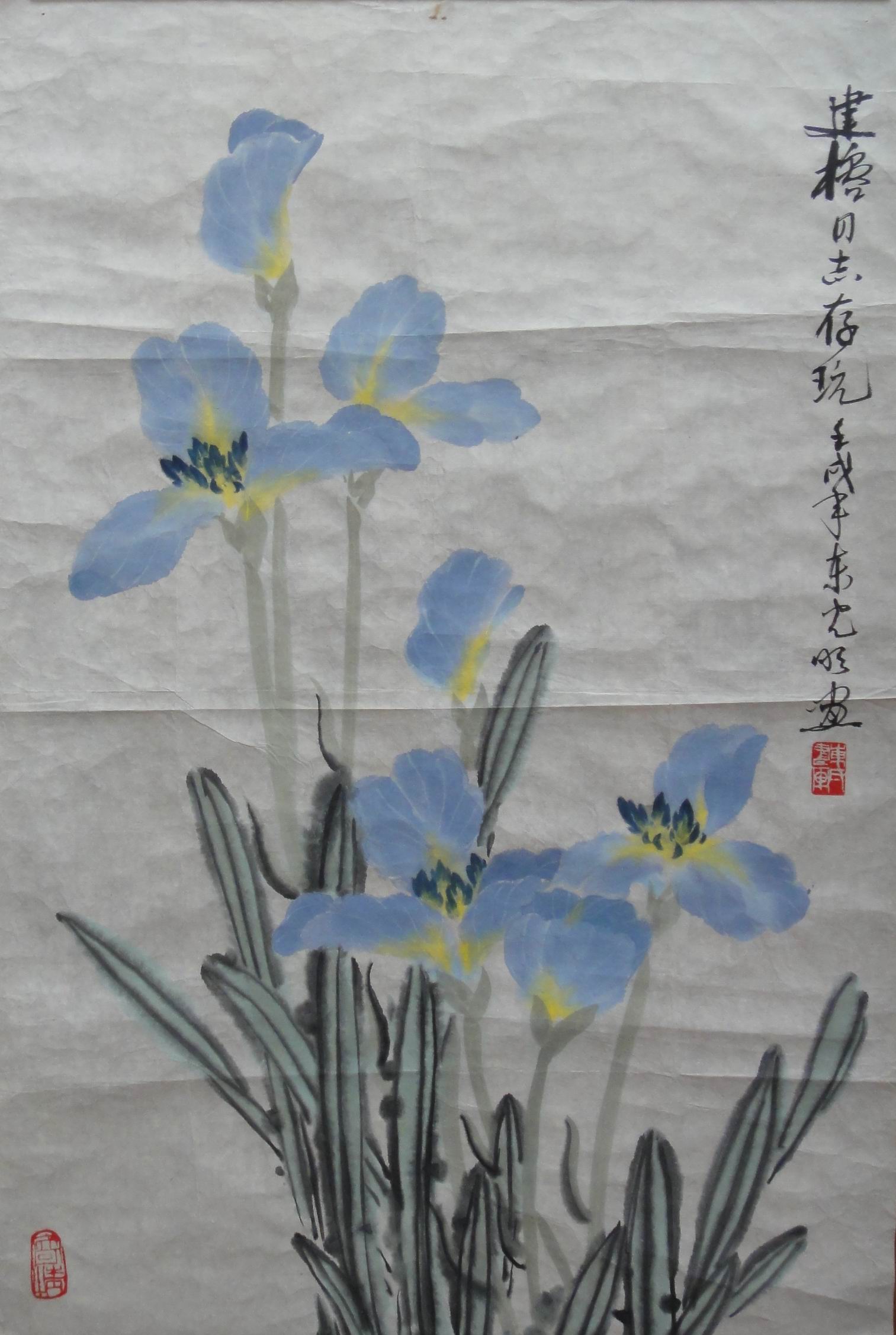 点击查看大图 东光明 花卉