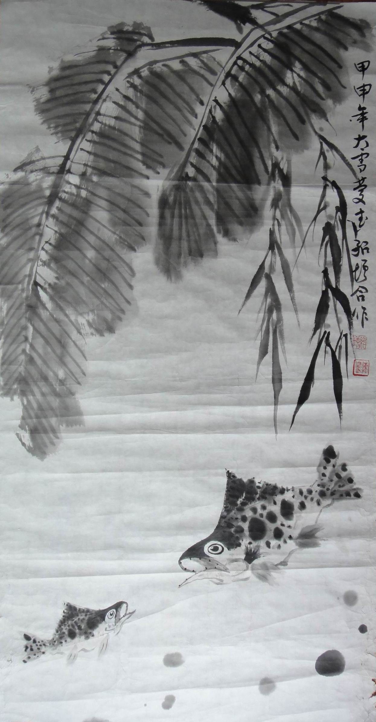张绍增 鱼