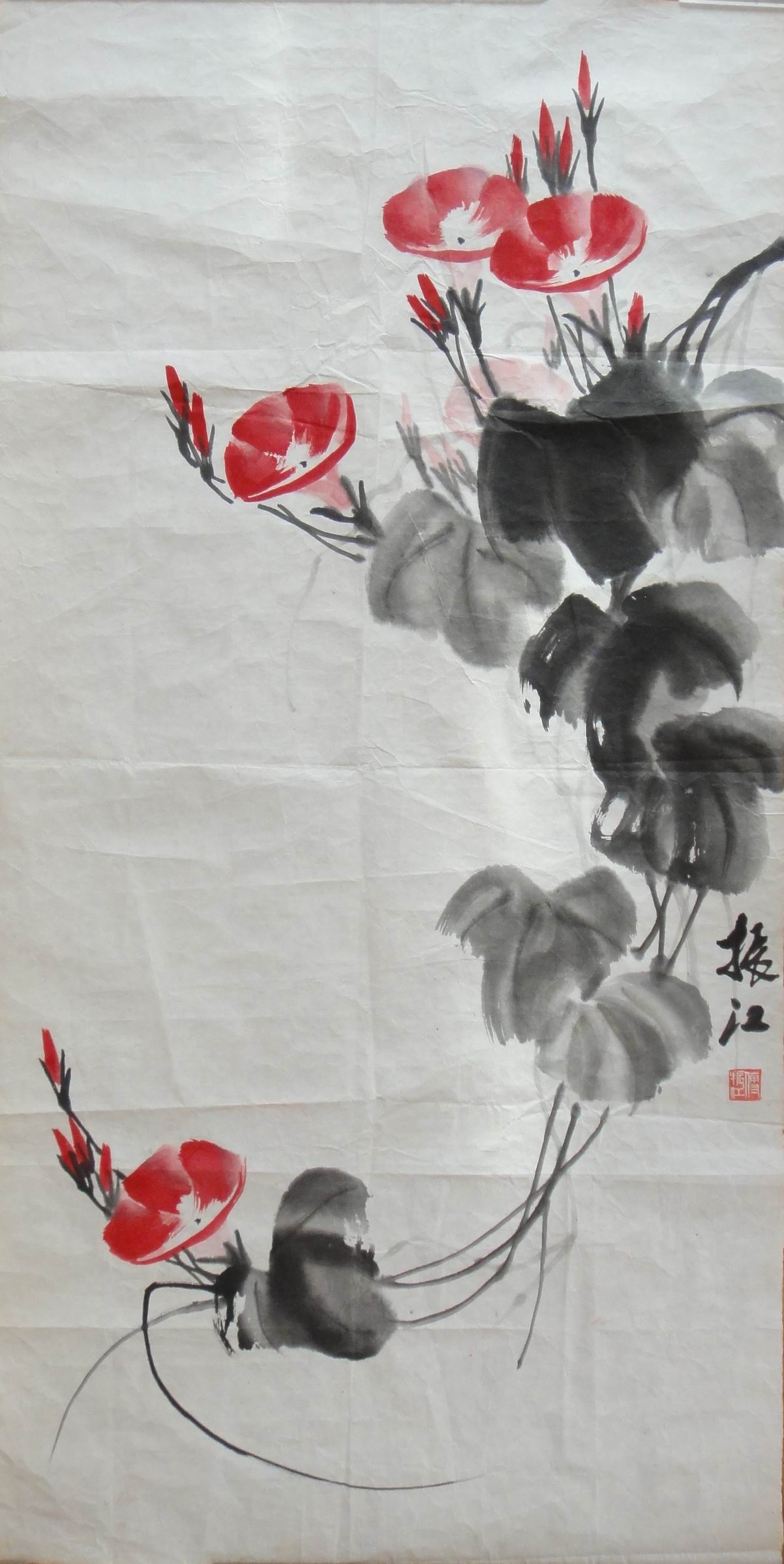 点击查看大图 傅振江 牵牛花