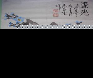 ͥ  