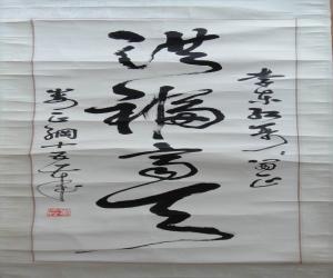 ¦  鷨