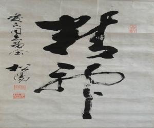   鷨