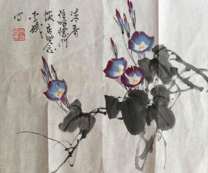 李铁 牵牛花