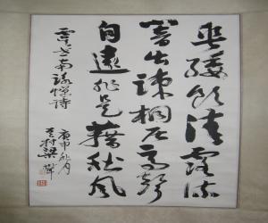  鷨